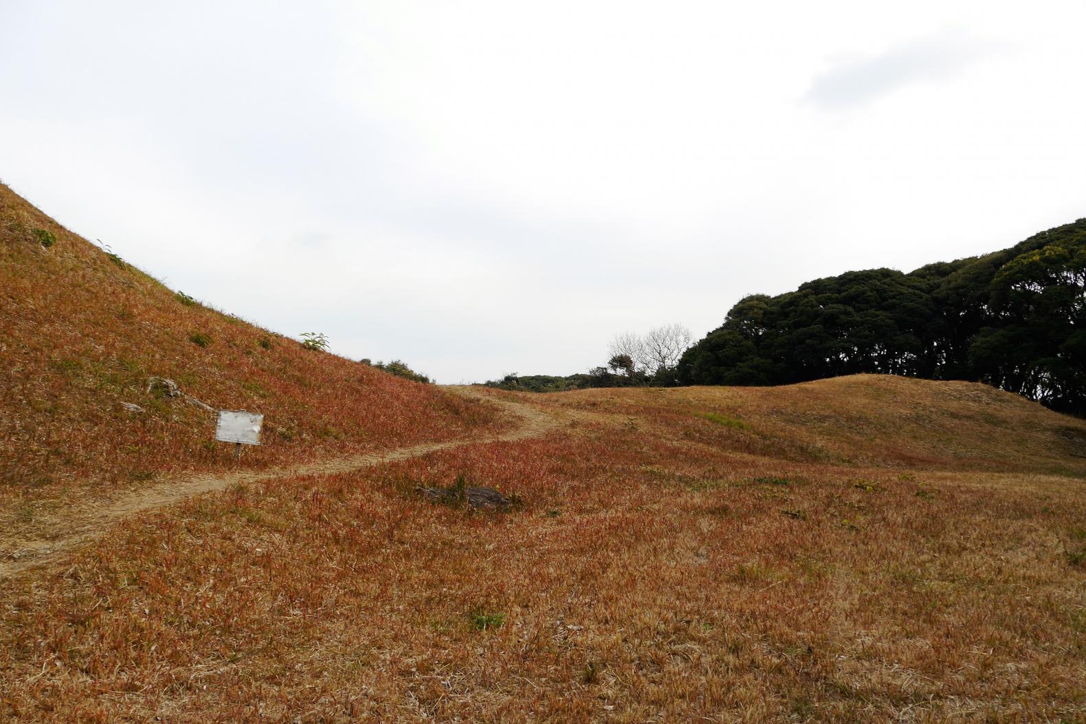 こんもりしたフォルムがかわいい？！県内最大の前方後円墳「双六古墳」-2