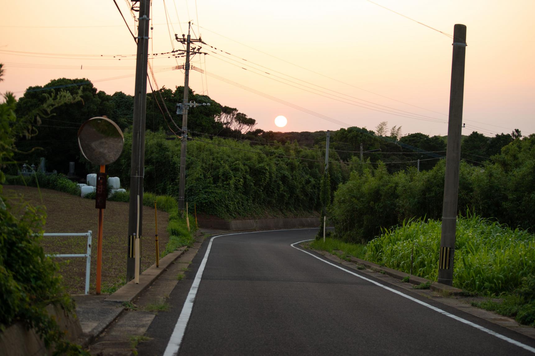 緑豊かな田園風景-1