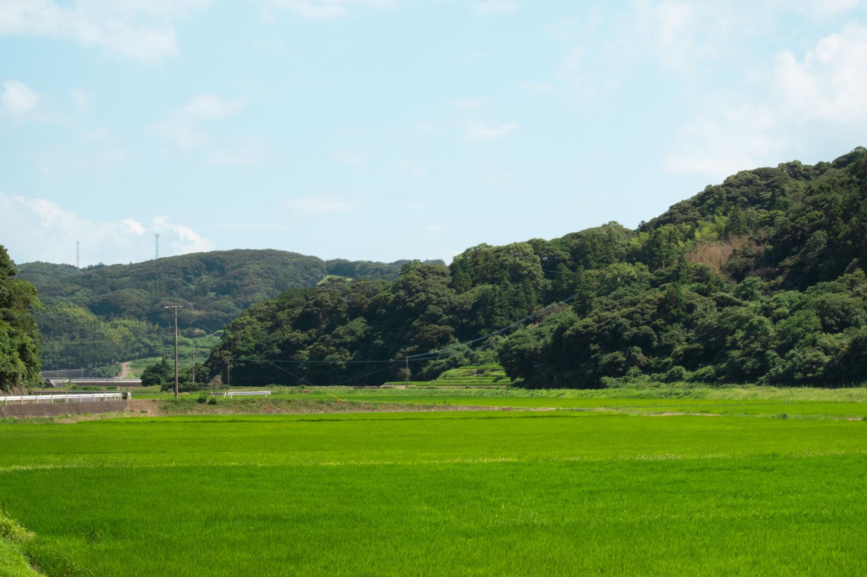 緑豊かな田園風景-0