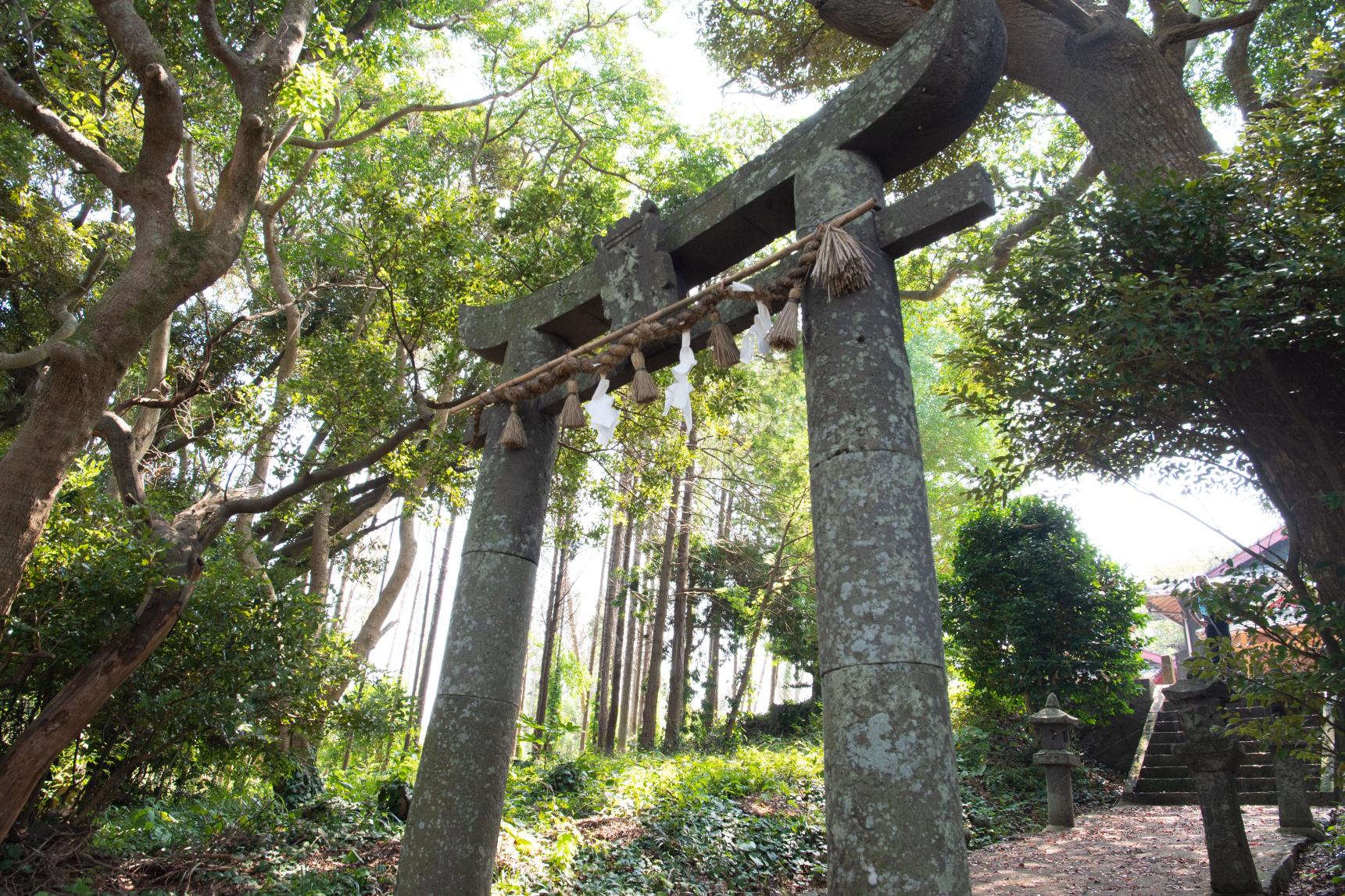大島神社と大島海水浴場がある島の東側へ移動-1