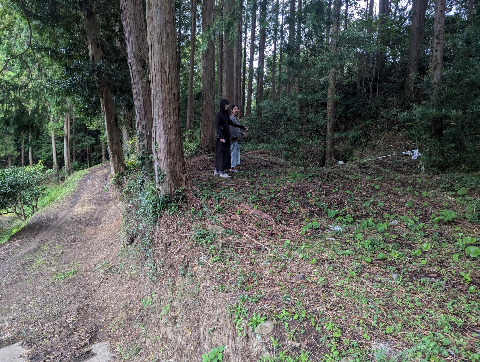 最難読の場所！「自徳庵のかくれ穴」-5