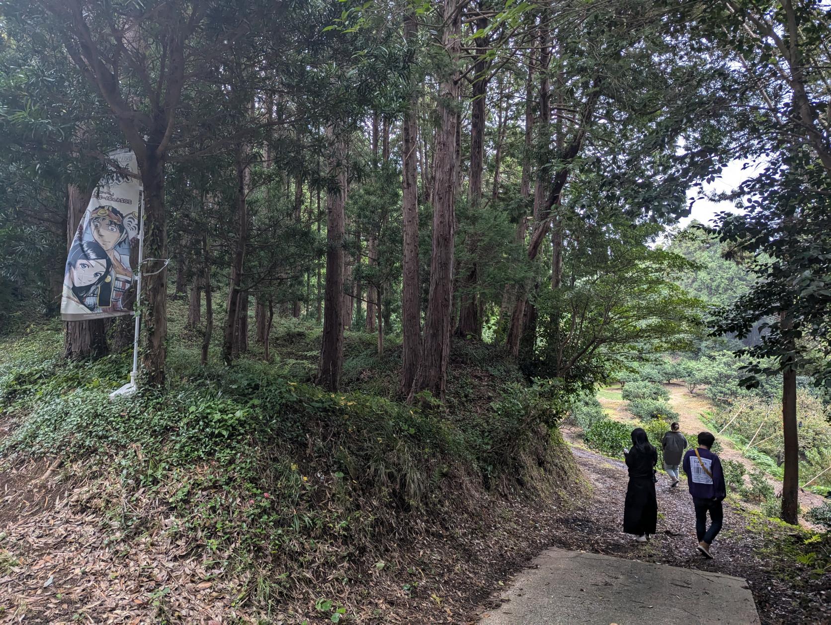 最難読の場所！「自徳庵のかくれ穴」-2