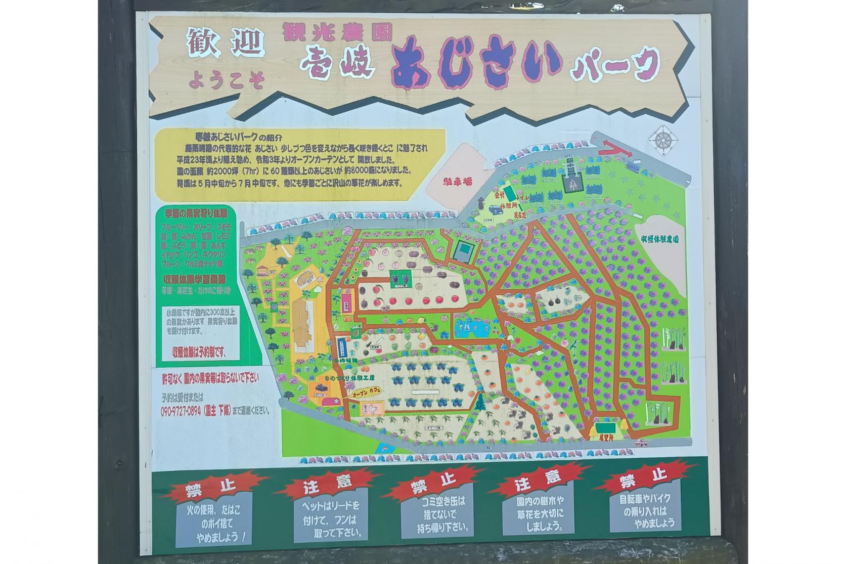 「観光農園　壱岐あじさいパーク」とは-4