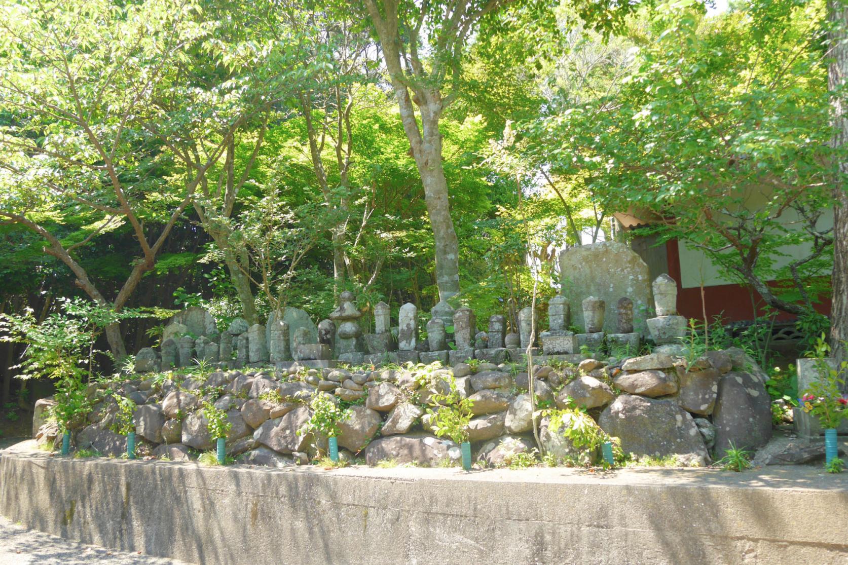 1. 紫陽花寺「西福寺」（石田町）-6