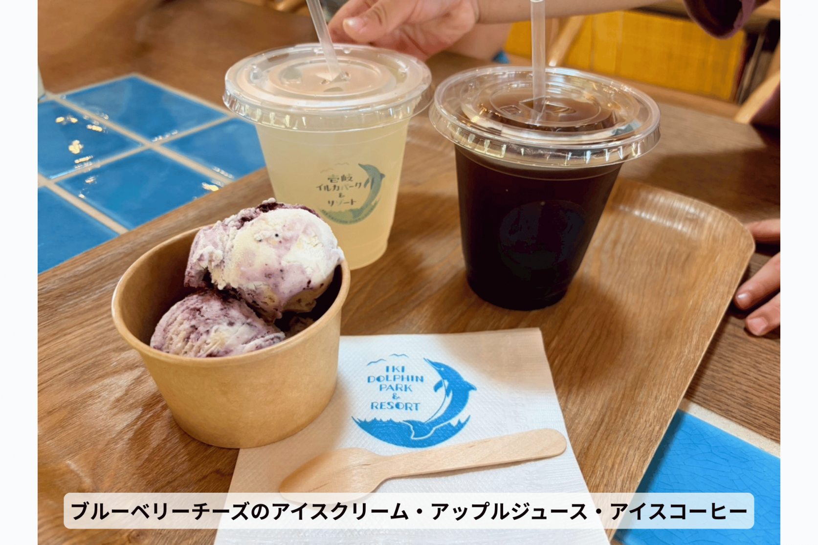 壱岐イルカパーク＆リゾートでドキドキふれあい体験-7