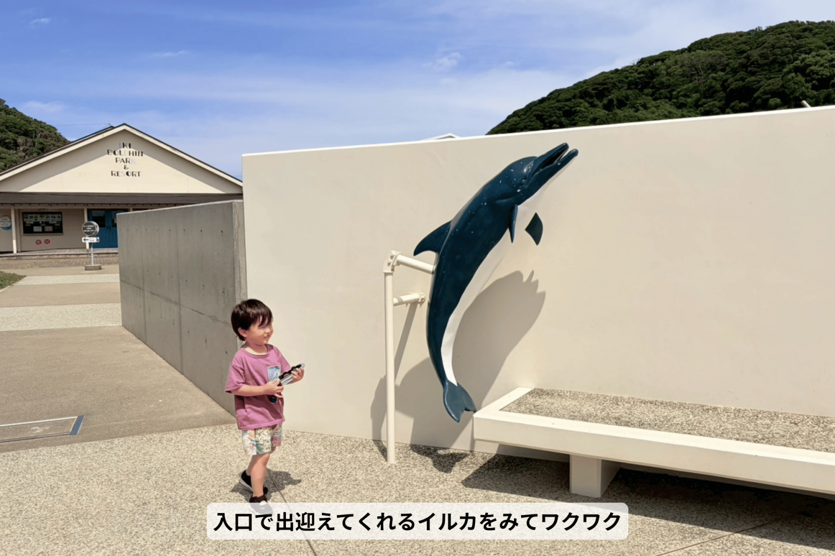 壱岐イルカパーク＆リゾートでドキドキふれあい体験-1