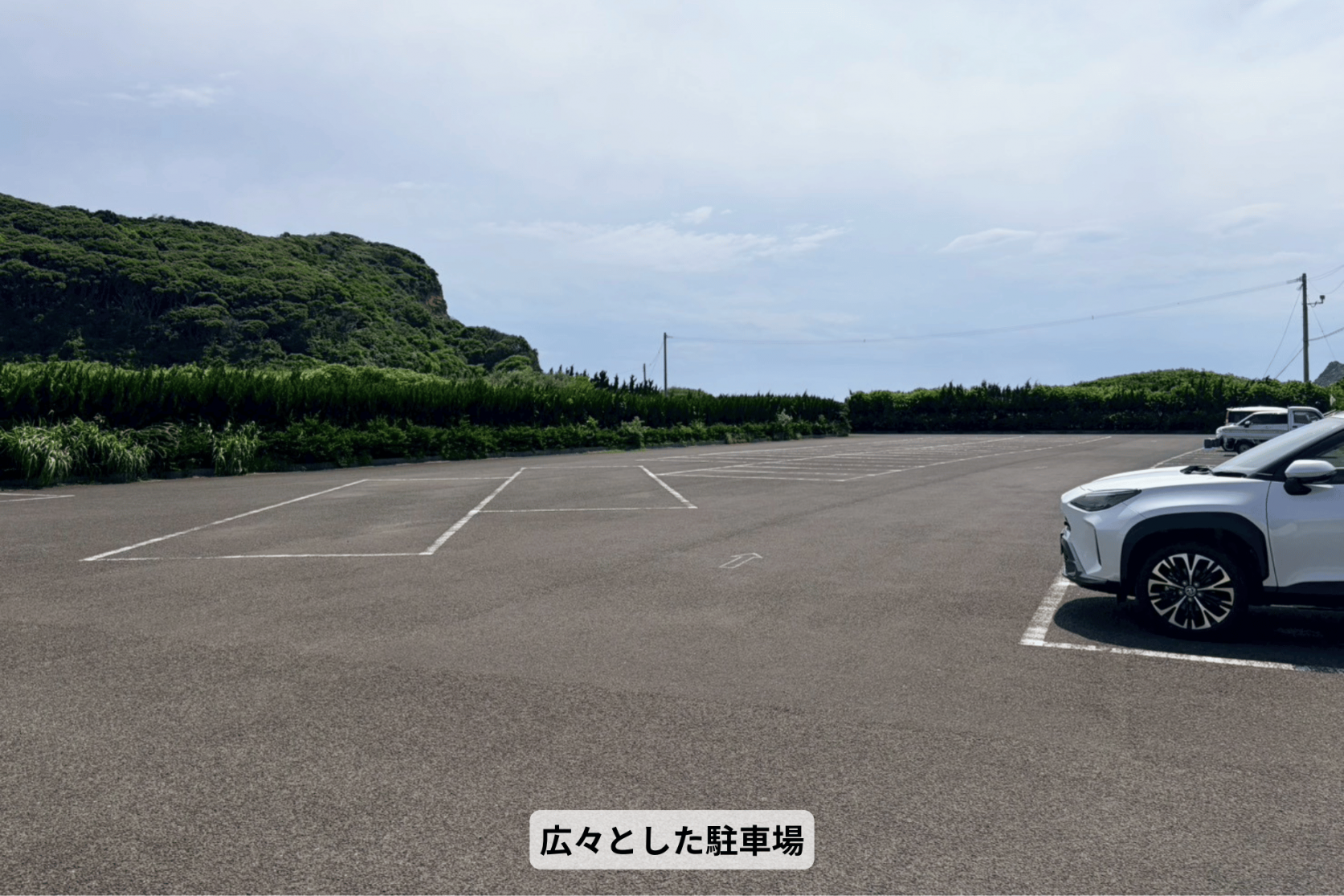 壱岐イルカパーク＆リゾートでドキドキふれあい体験-2