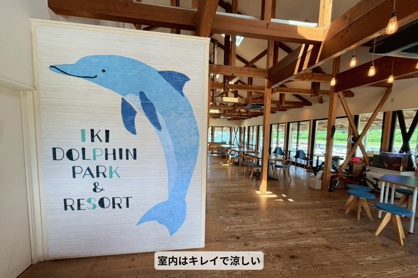 壱岐イルカパーク＆リゾートでドキドキふれあい体験-4