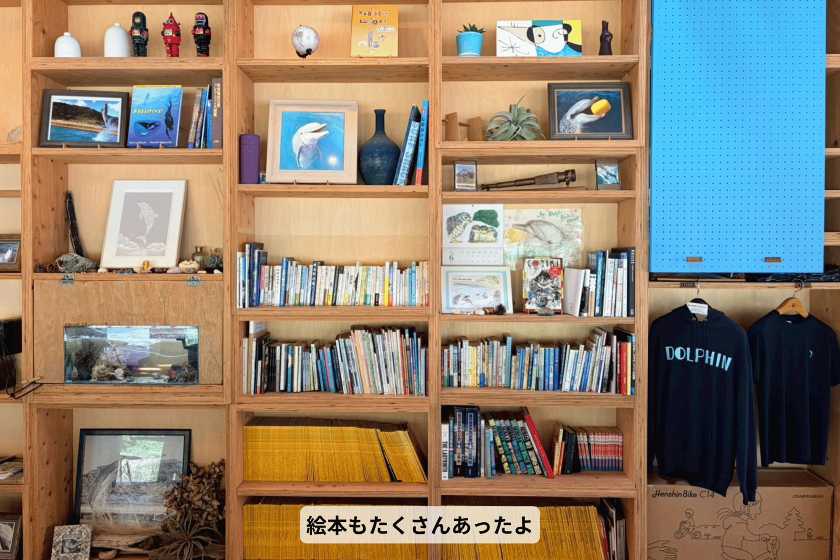 壱岐イルカパーク＆リゾートでドキドキふれあい体験-5