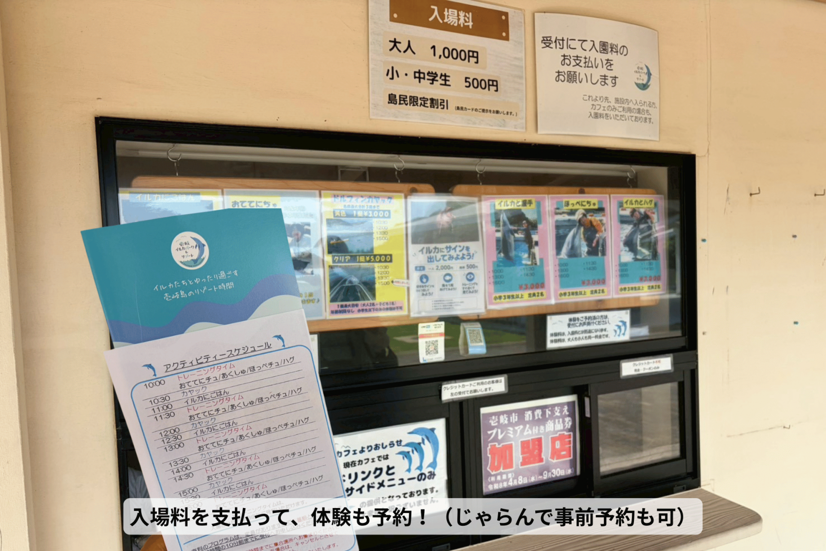 壱岐イルカパーク＆リゾートでドキドキふれあい体験-3