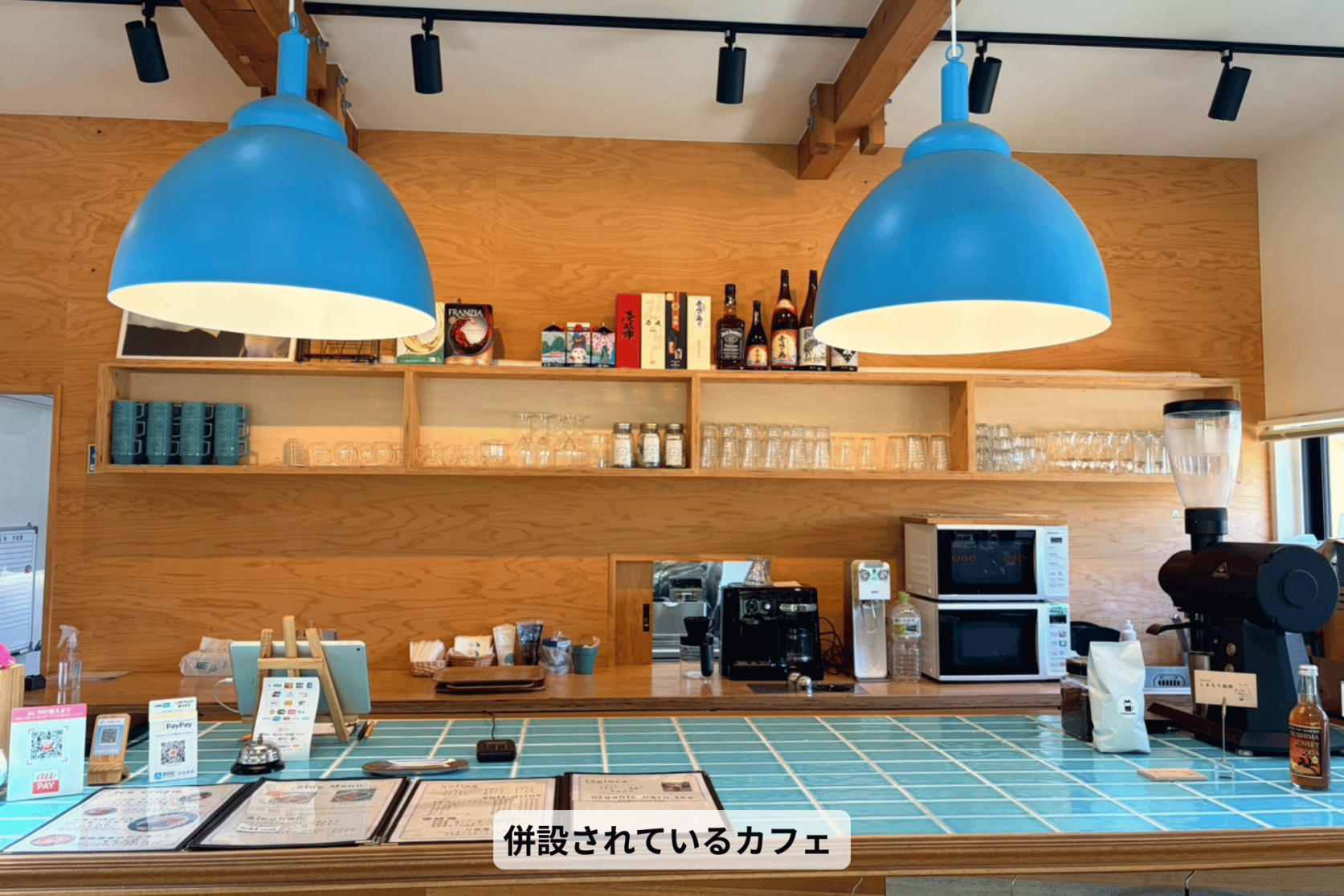 壱岐イルカパーク＆リゾートでドキドキふれあい体験-6