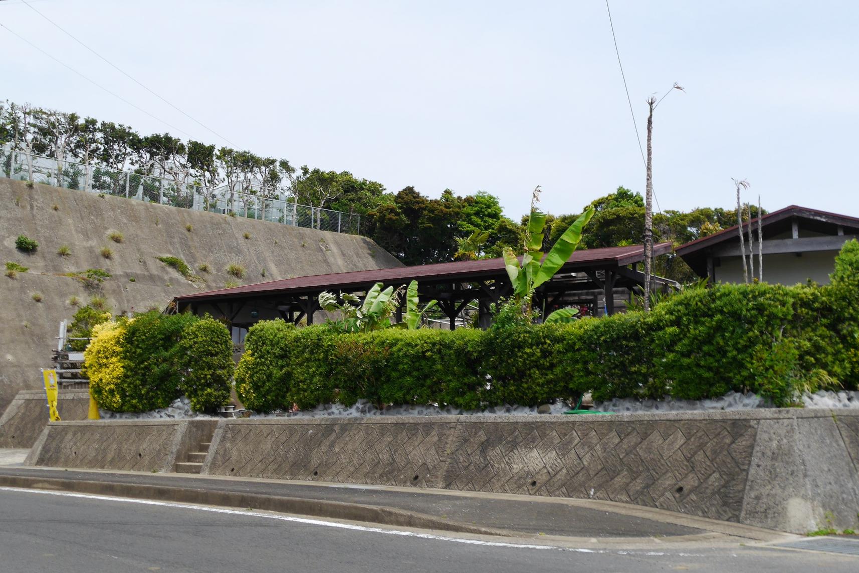 小島神社が浮かぶ内海湾で生まれた真珠-2