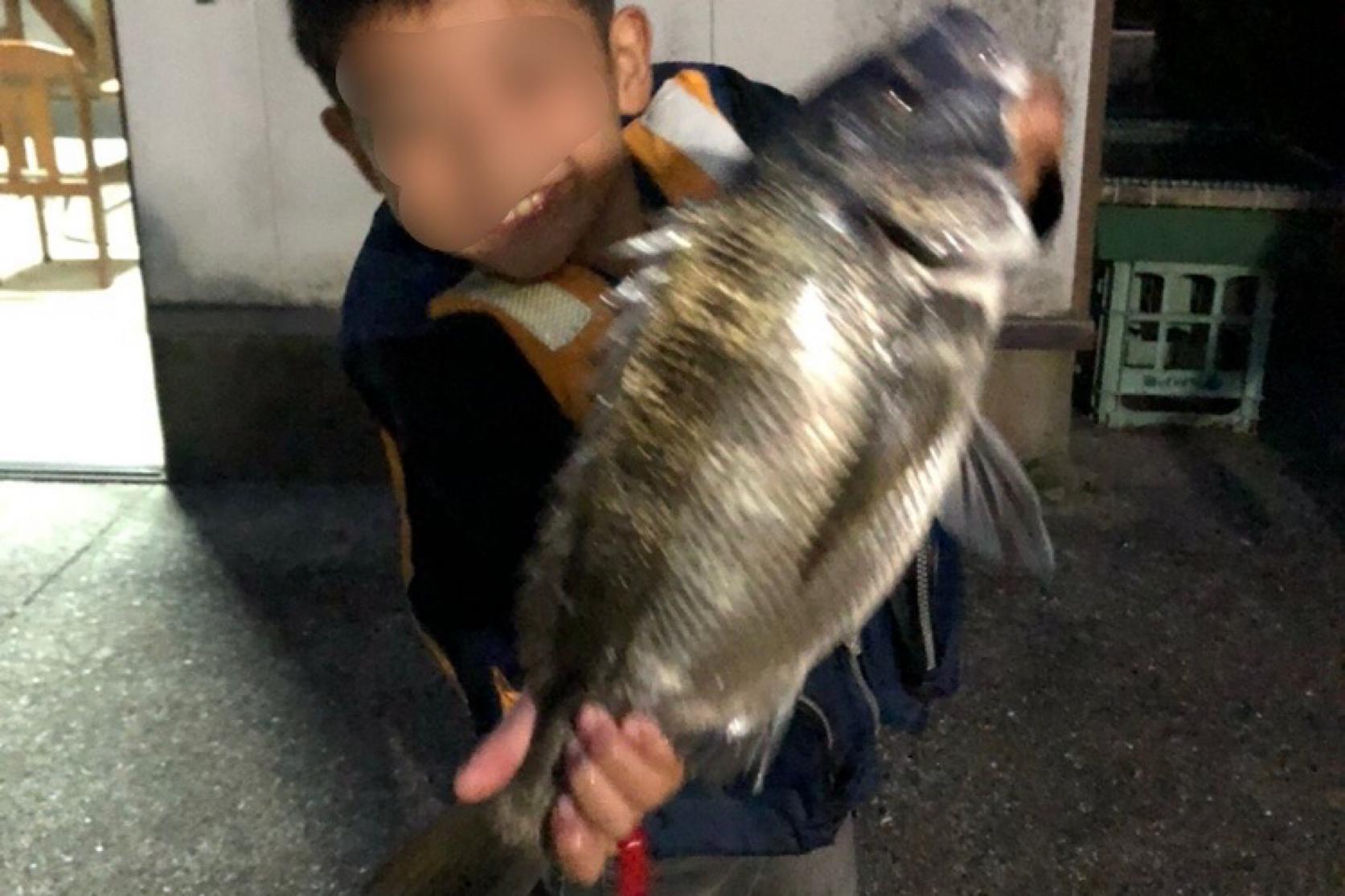 壱岐の海で釣れた魚たち-4