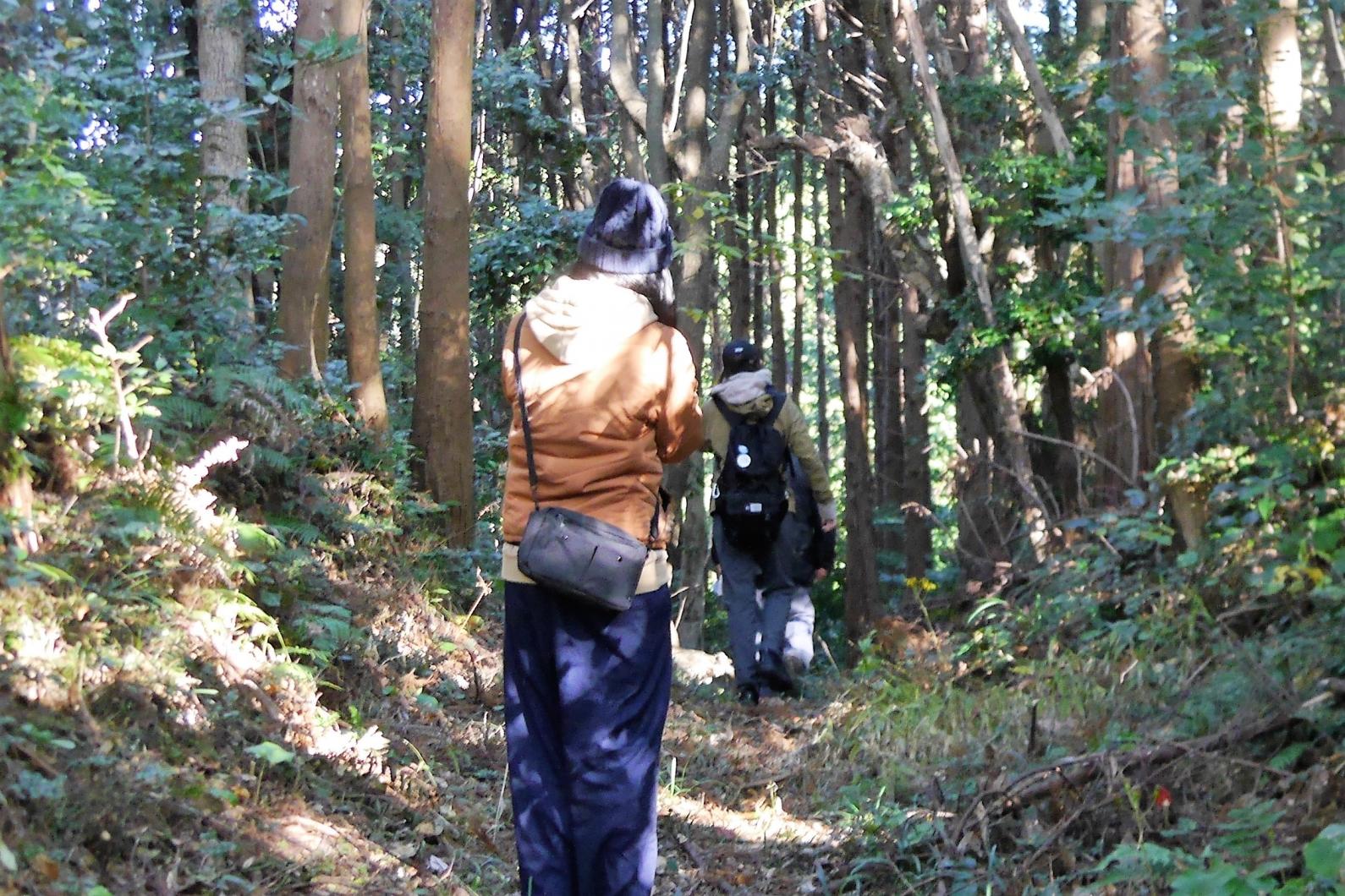 古墳マニアも大満足の「古墳散策」体験-0