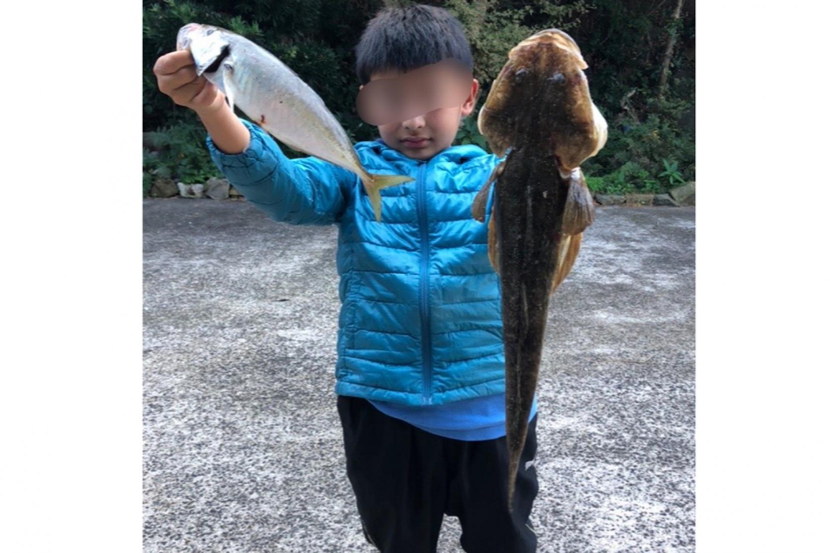 ウミヘビ、マゴチ、コイ-0