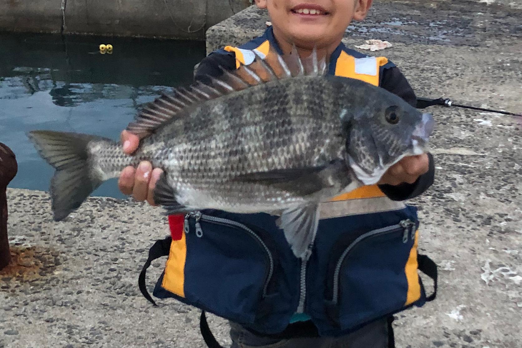 餌釣り、またはワーム釣り-0