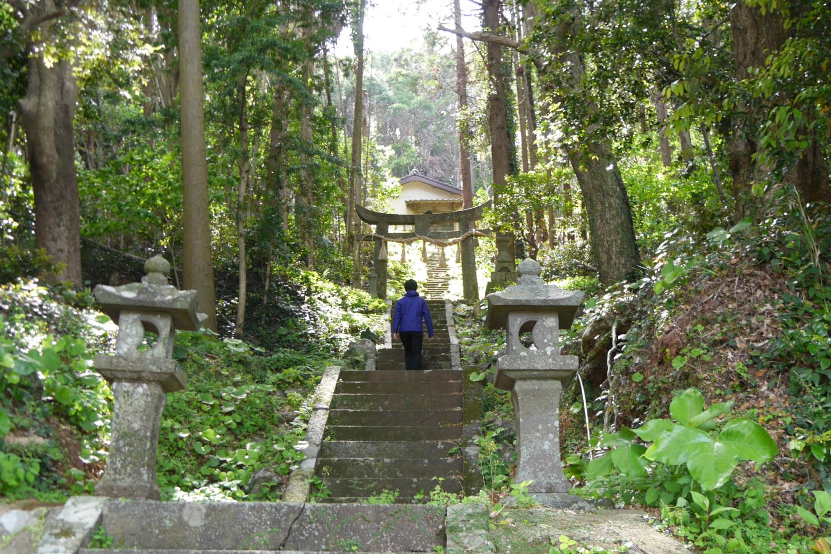 新緑がまぶしい「山浦大権現」-1