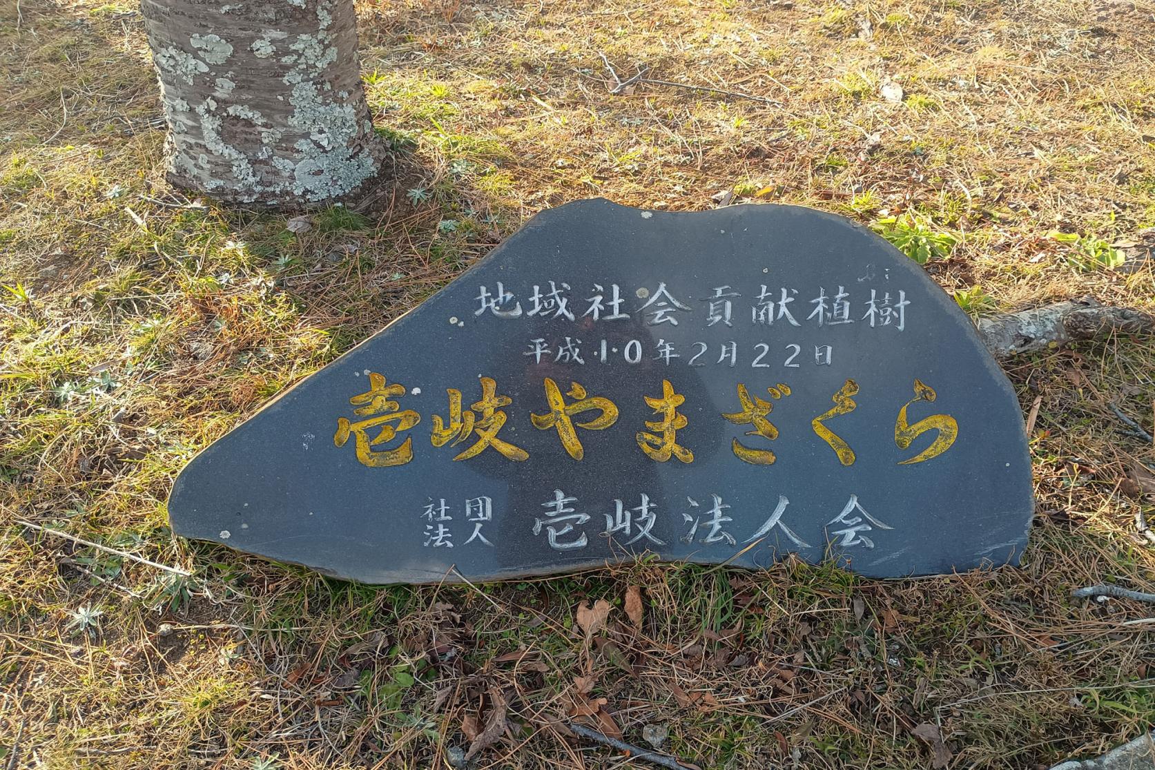 -1