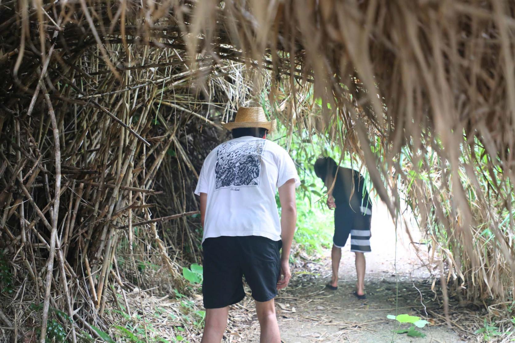 島の中を自由に探検！ちょっとした冒険気分-2
