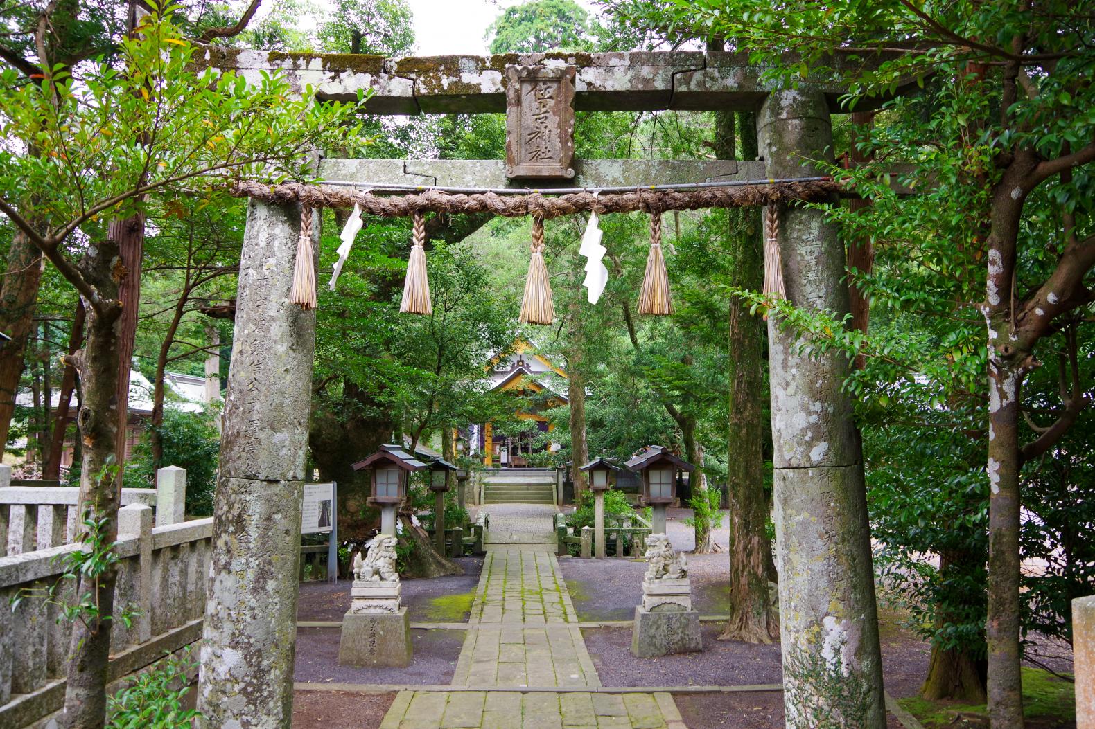 願い事を叶える「住吉神社」の夫婦楠-0