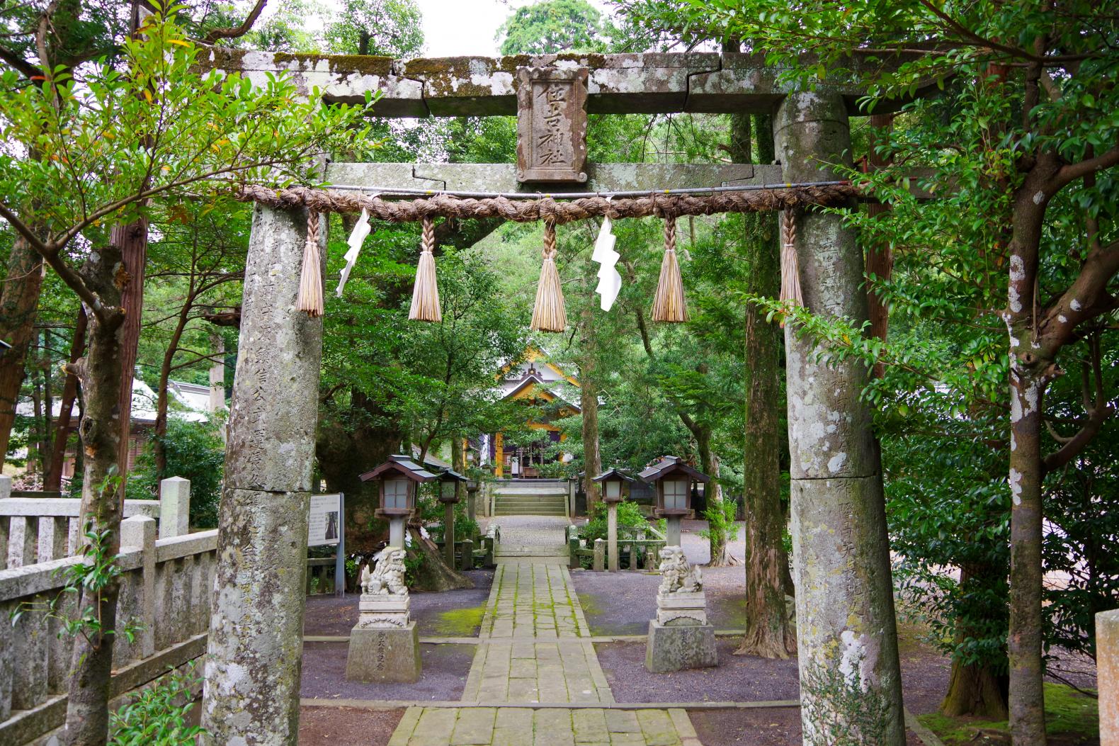 願い事を叶える「住吉神社」の夫婦楠-0