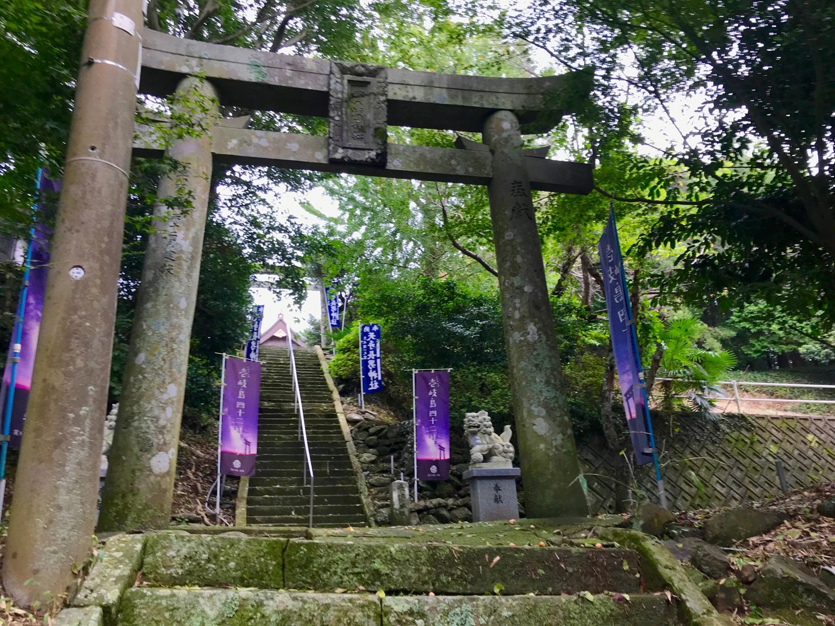 壱岐の一ノ宮「天手長男（あまのたながお）神社」-2