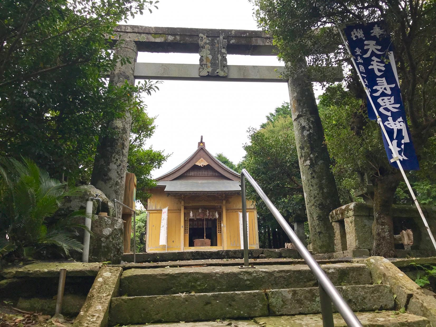 壱岐の一ノ宮「天手長男（あまのたながお）神社」-3