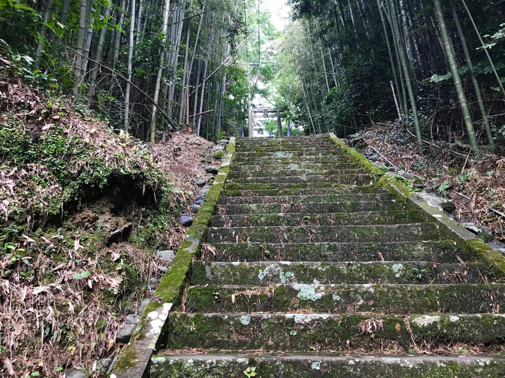 壱岐の一ノ宮「天手長男（あまのたながお）神社」-1