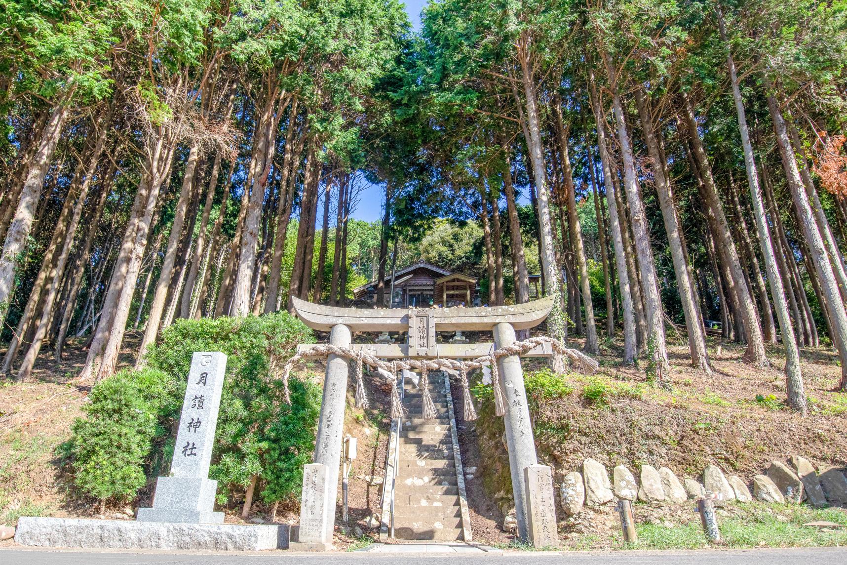 「月讀神社」で月の神様のパワーを充電!!-0