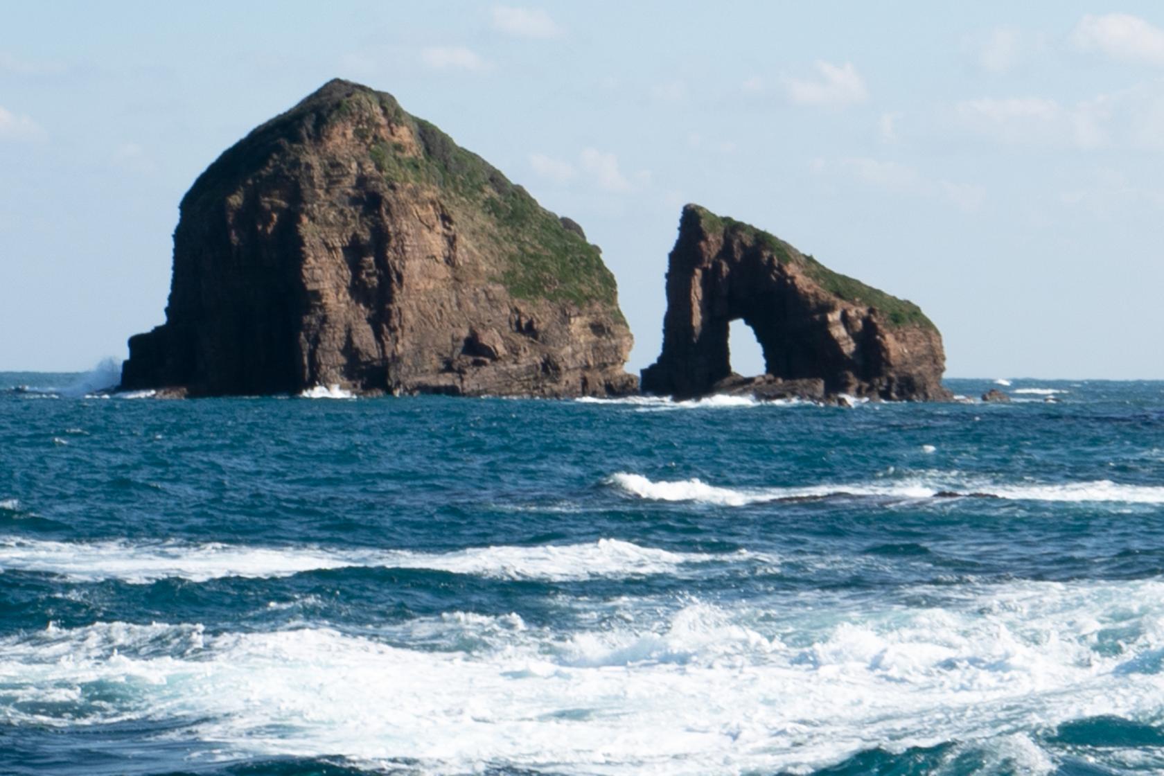 遊覧で海の冒険を満喫-2