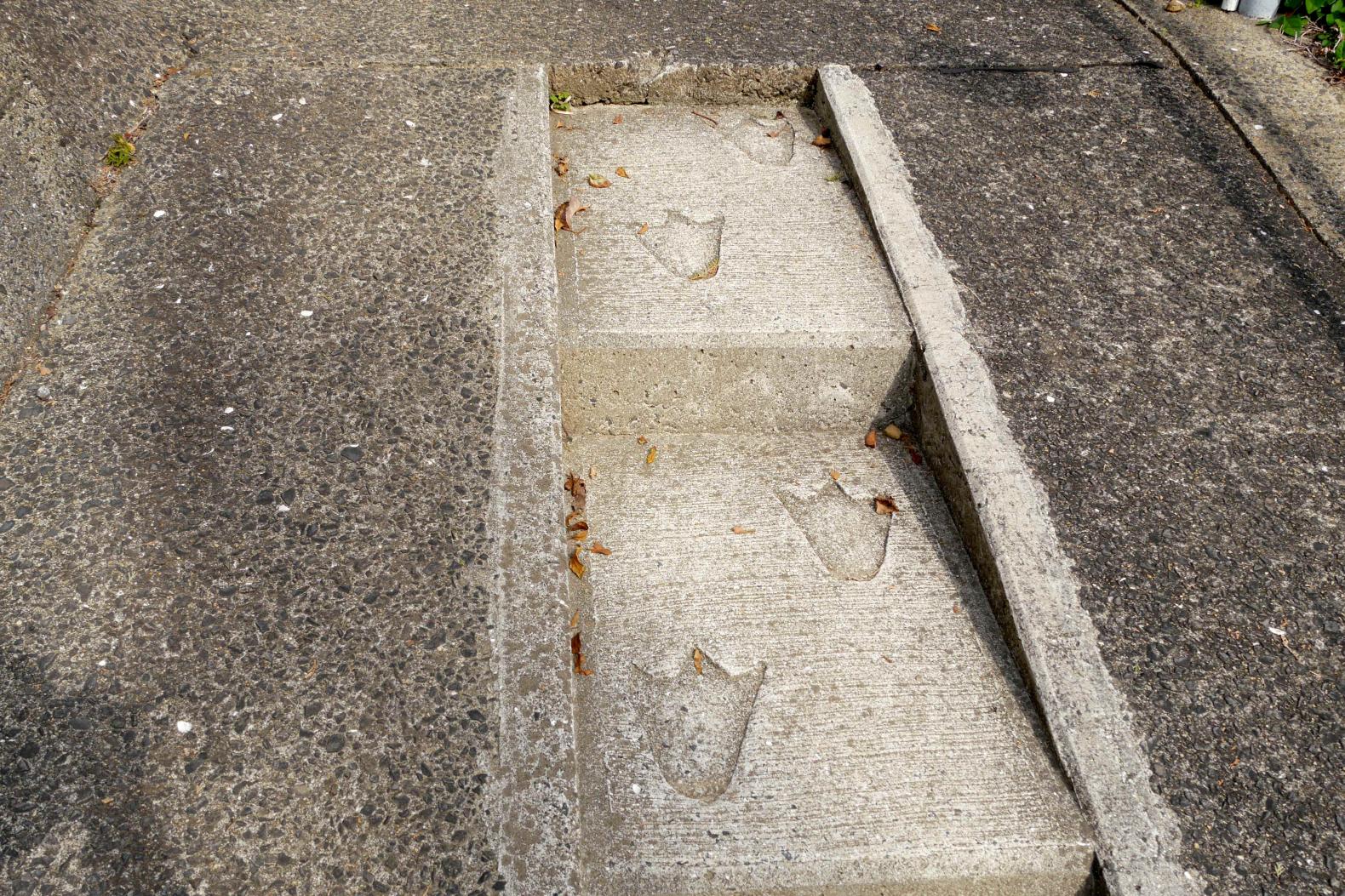 朱色の鳥居が連なる伏見稲荷神社-5