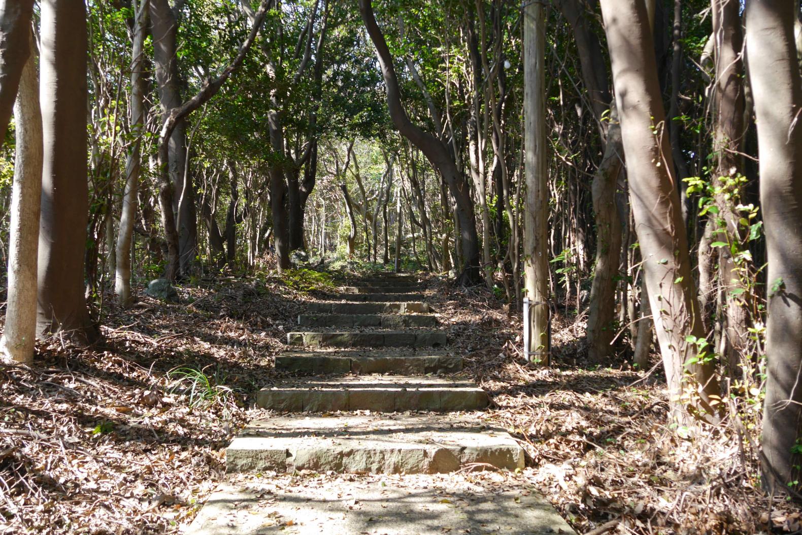 男嶽神社の表参道散策-6