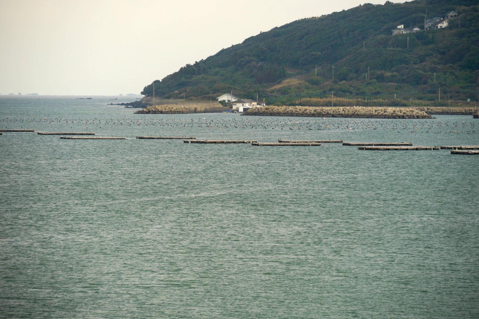 内海湾を見渡せるお社-4