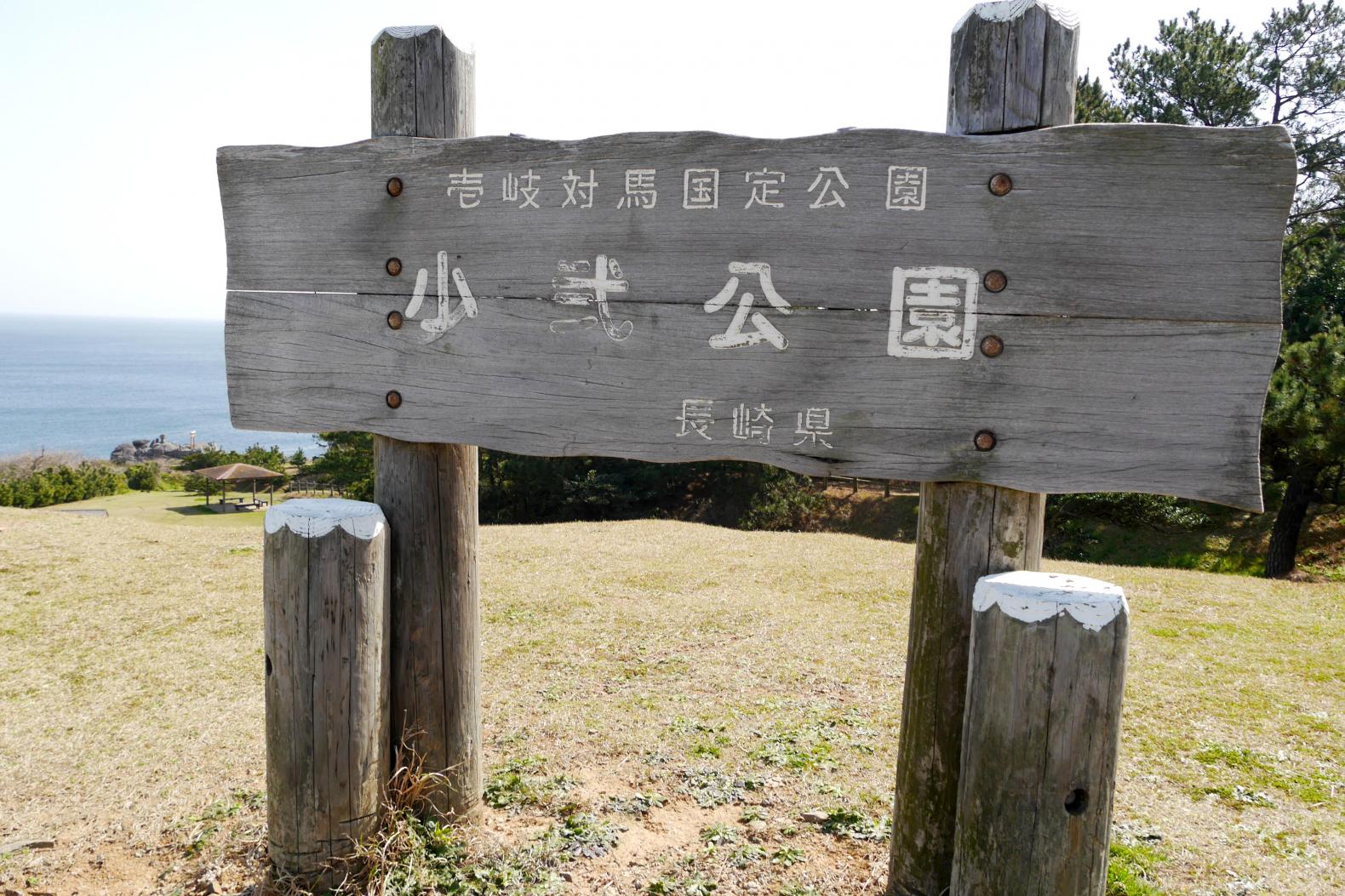 最後の目的バス停は「壱岐神社」-0