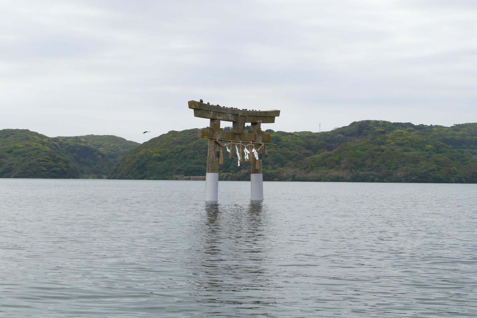 パワースポット「小島神社」の鳥居をくぐる！-1