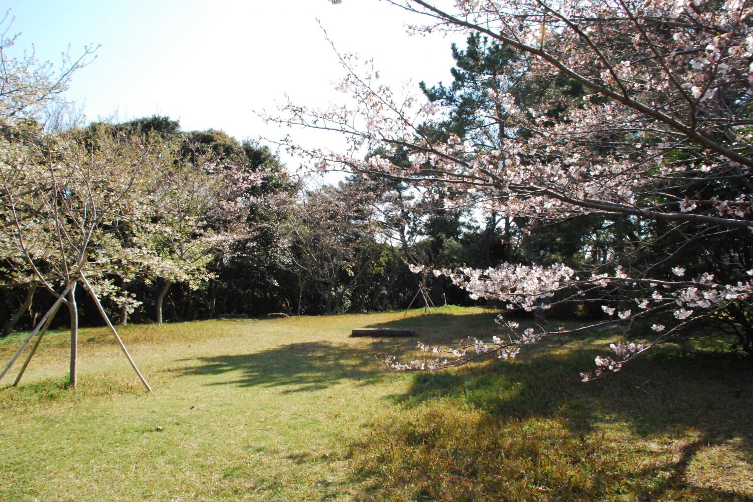 なぜ、勝本城は築城されたのか-0