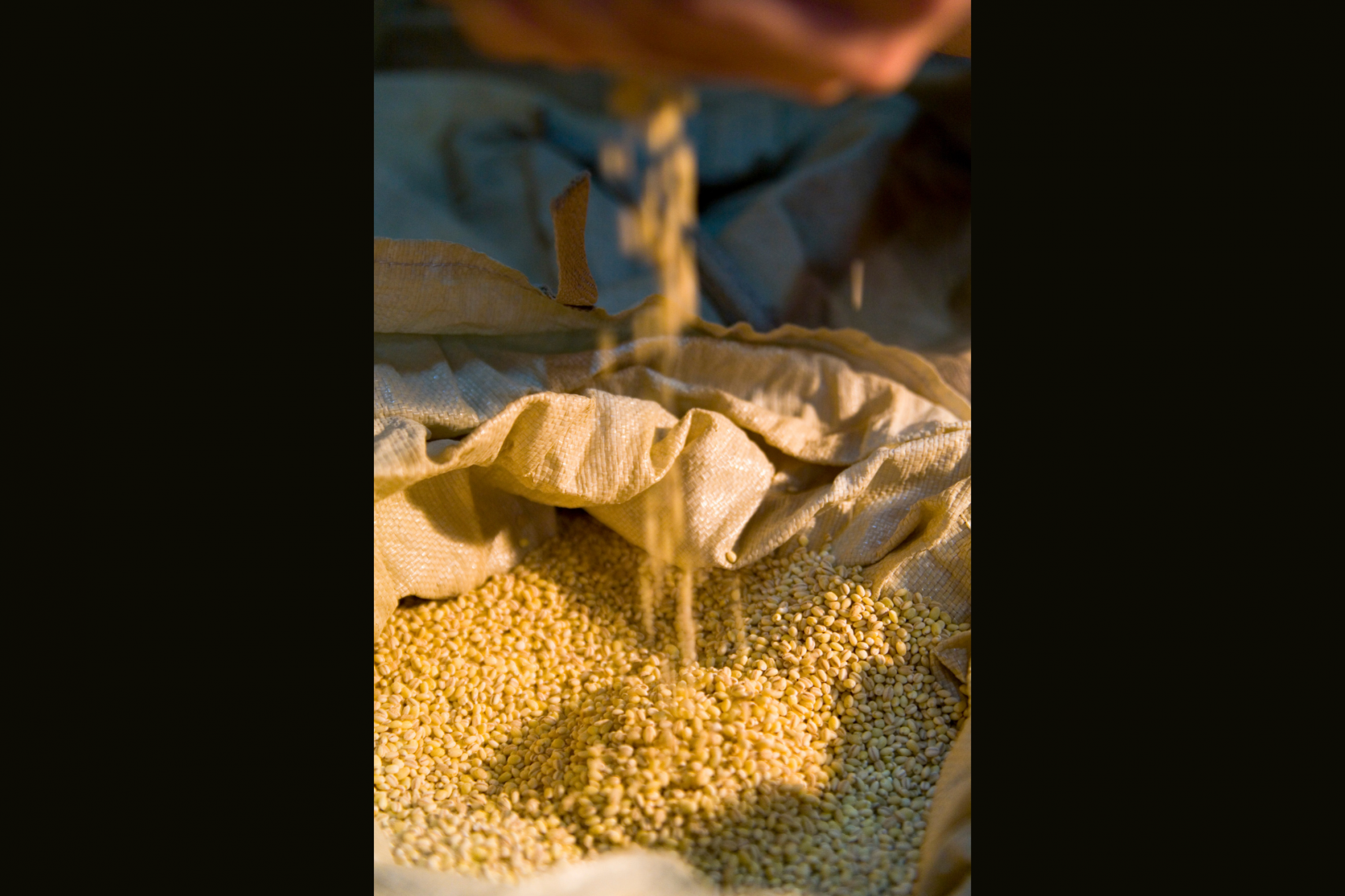 壱岐の蔵酒造「JAPANESE CRAFT GIN ORIGINAL」-1