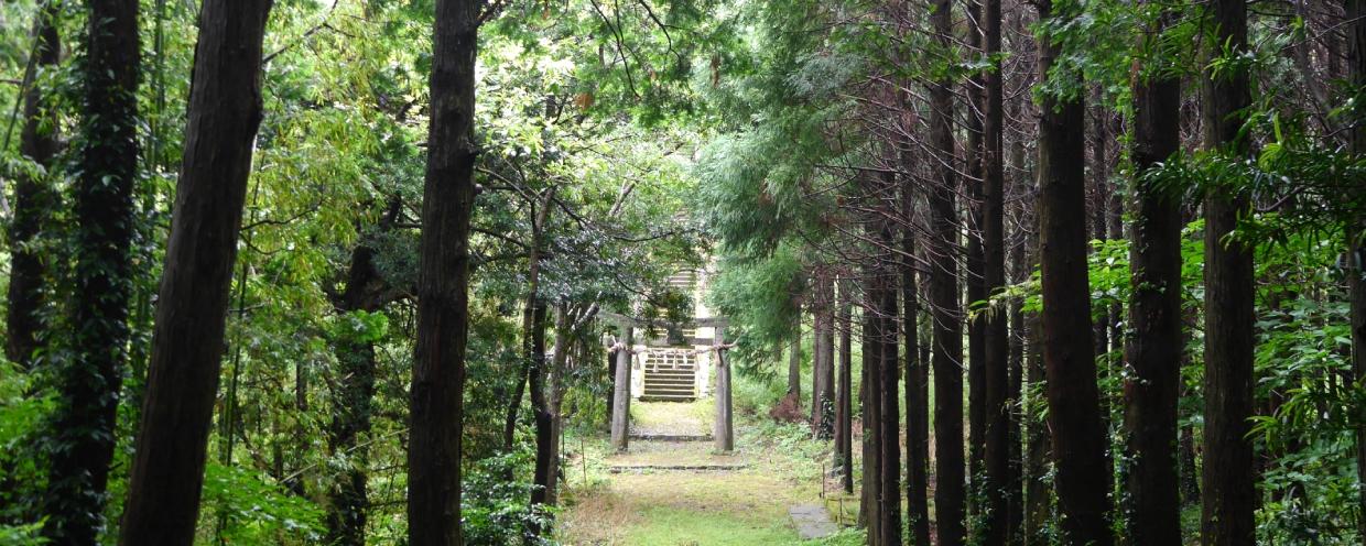 ”映える島”壱岐の心躍るフォトジェニックツアー　～郷ノ浦町・勝本町編～-1