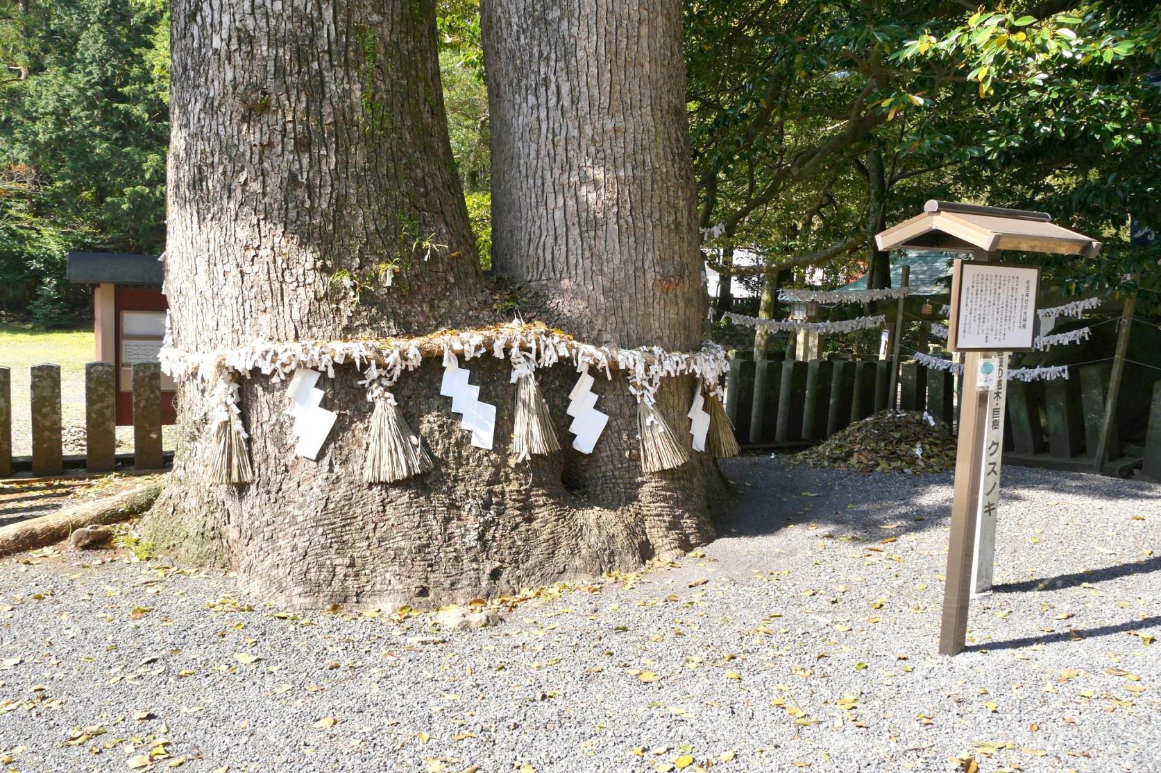 住吉神社-5