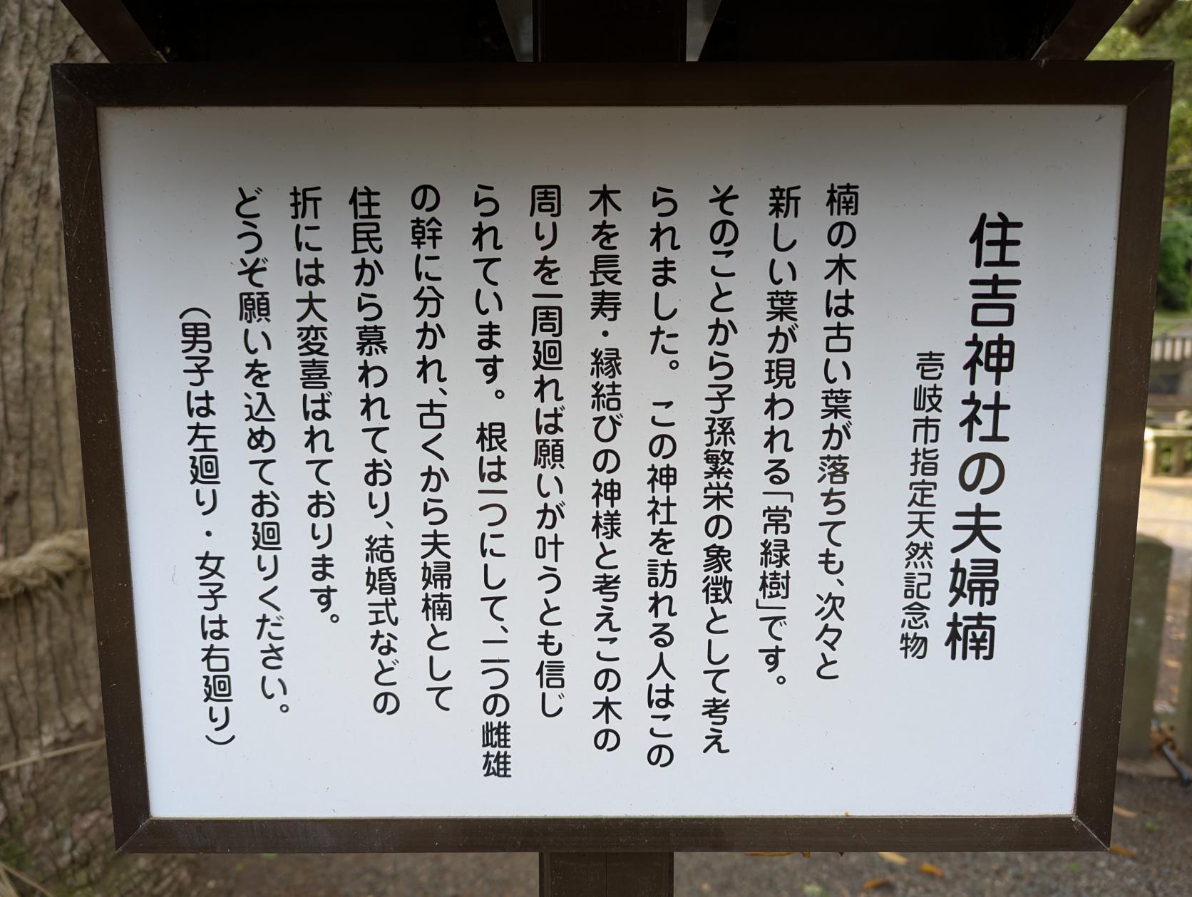 住吉神社-4