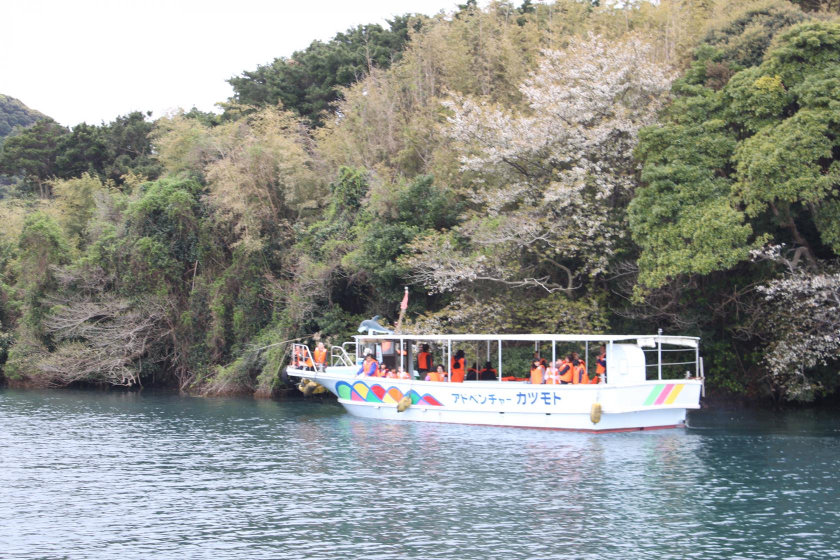 【2023年の運行は休止】海上山桜遊覧-1