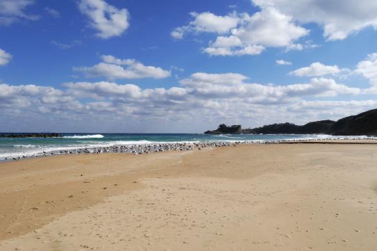 清石浜海水浴場-4