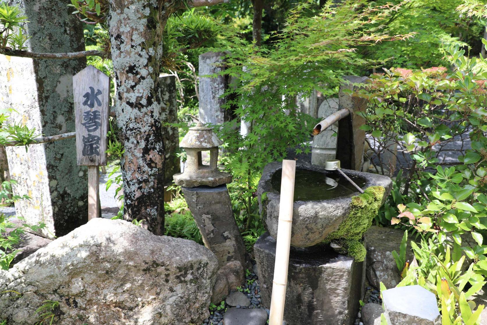 西福寺-5