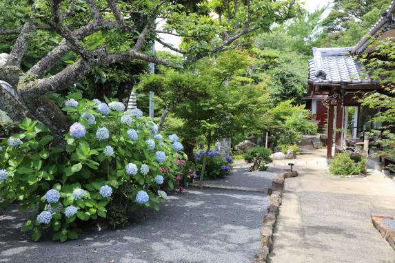 西福寺-1