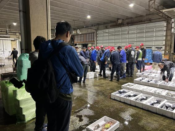 郷ノ浦漁協セリ見学(朝ごはん付き)-1