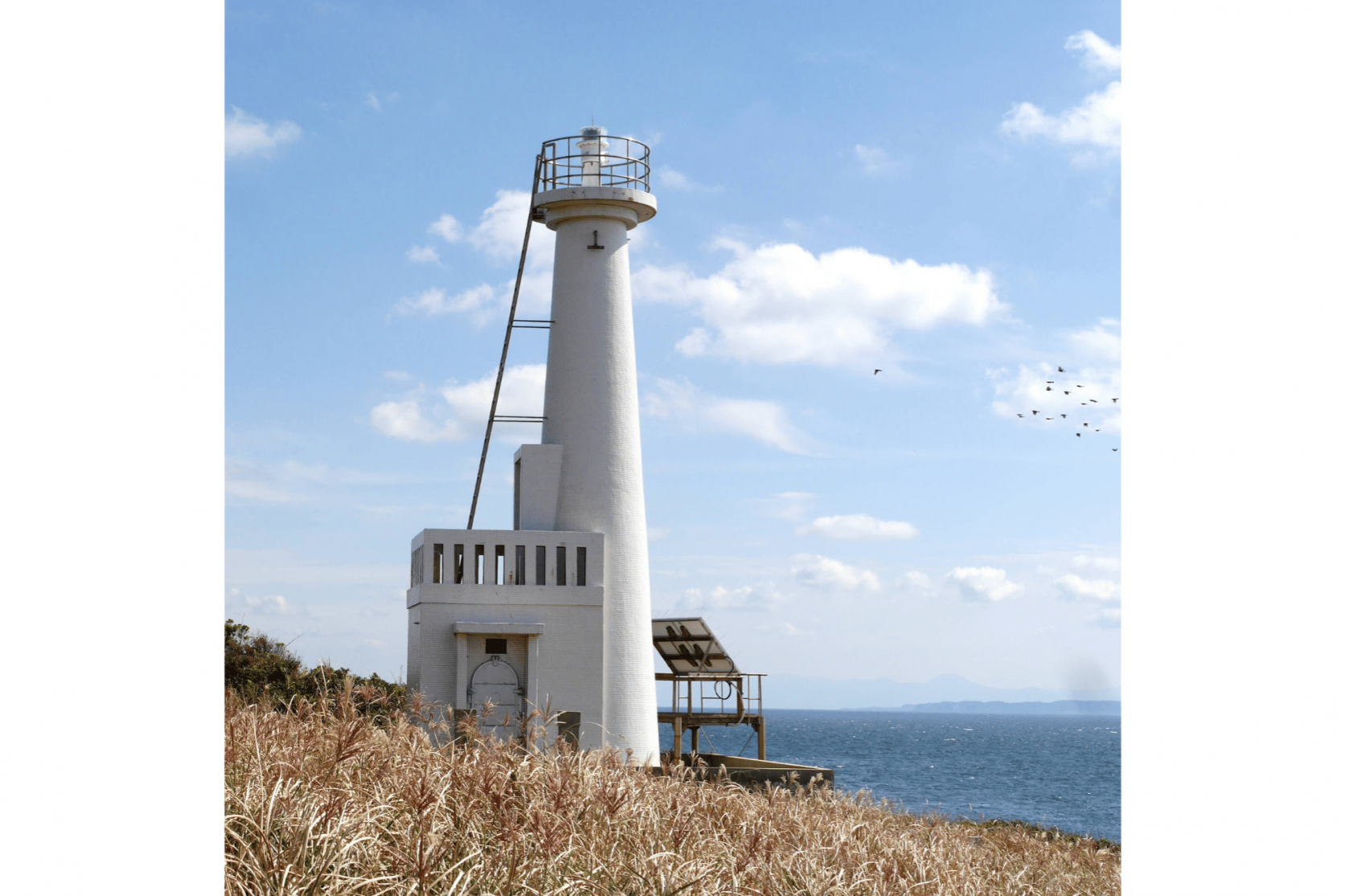 海豚鼻-1