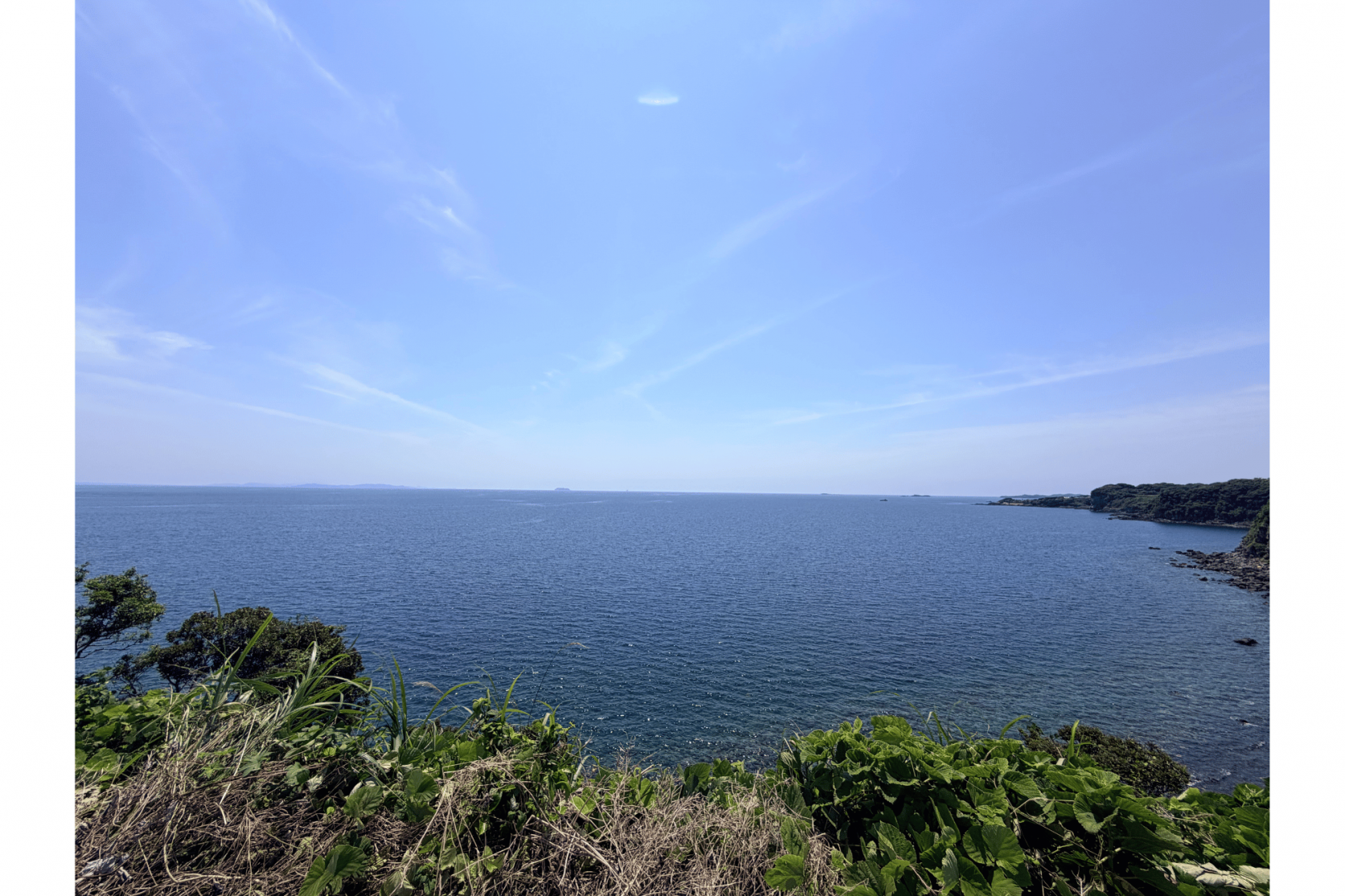 海豚鼻-4